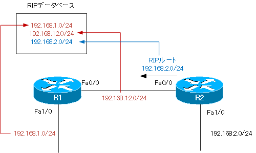図 R1のRIPデータベース