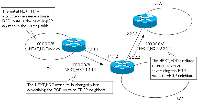Figure NEXT_HOP attribute
