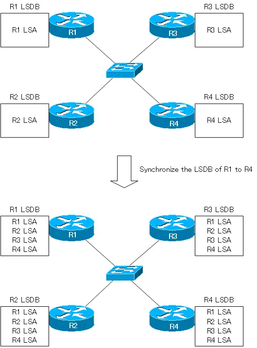 Figure Synchronization of LSDB over Ethernet