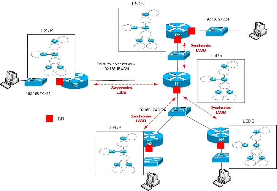 Figure All OSPF routers in an area synchronize their LSDB