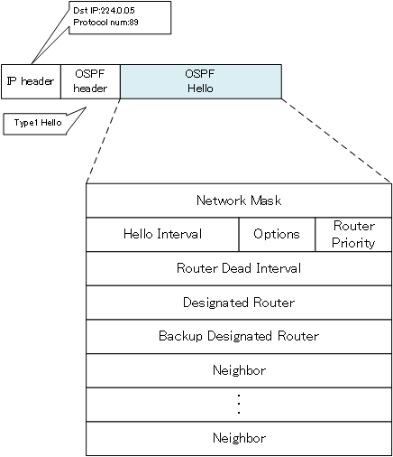  Figure OSPF Hello format