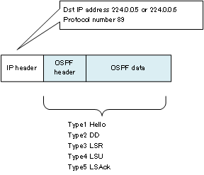  Figure OSPF packet encapsulation