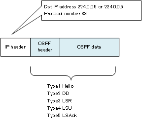 Figure OSPF packet encapsulation