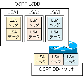 図 OSPF DDパケットの概要