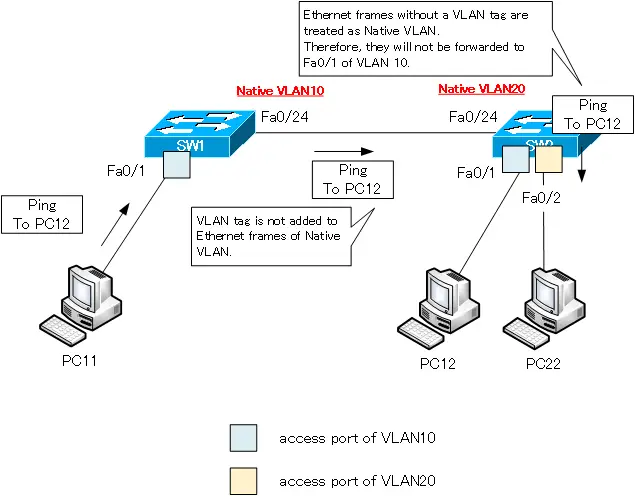 Figure Ping from PC11 to PC12 in the case of native VLAN mismatch