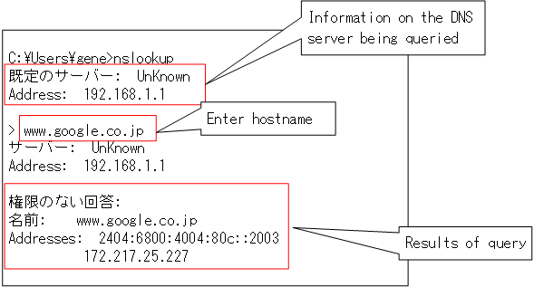 Figure: Example of A record query