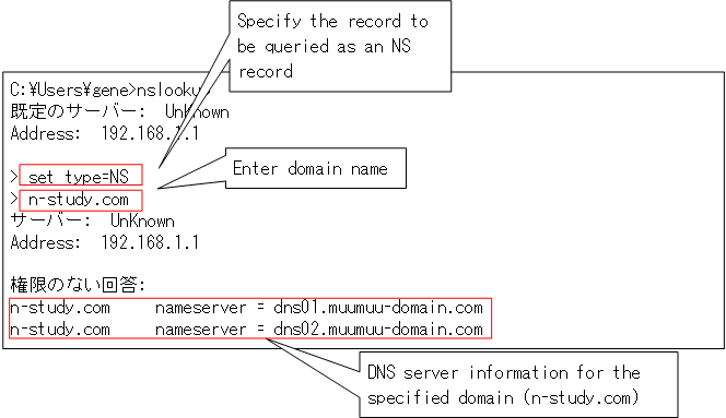 Figure: Example of NS record