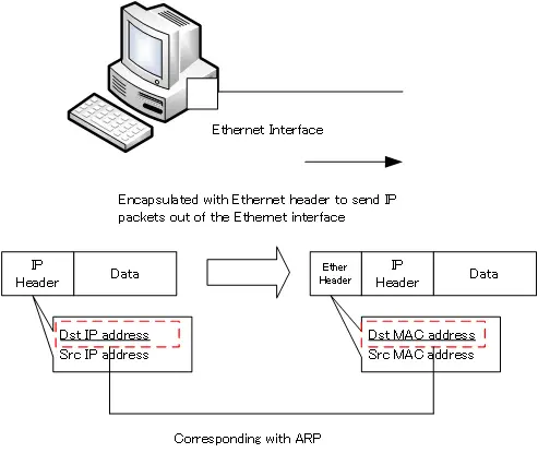 Figure: Overview of Address Resolution with ARP